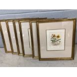 Six framed limited edition botanical prints, each approx 10cm x 12.5cm (inside mount)