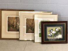Four framed limited edition prints by Audrey Lawrence Johnson, Sue Kavanagh and Frances Clair