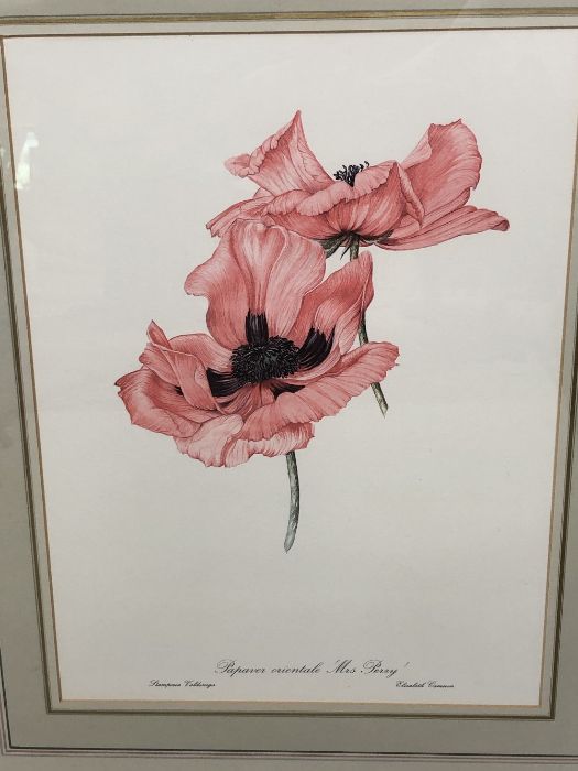 Set of four large framed botanical prints of poppies by Elizabeth Cameron, each approx 41cm x - Image 5 of 5