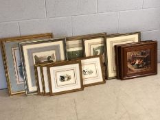 Collection of framed prints, mostly ducks / birds / cocks