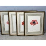 Set of four large framed botanical prints of poppies by Elizabeth Cameron, each approx 41cm x