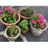 Five assorted garden posts to include stone and terracotta with associated flowers