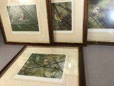 Collection of Framed Limited Edition Steven Townsend Prints of Finches all framed and all 91/400