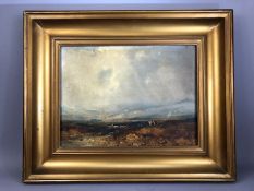 Painting: Oil on board/ card signed lower right D. COX of a countryside scene approx 38 x 28cm in