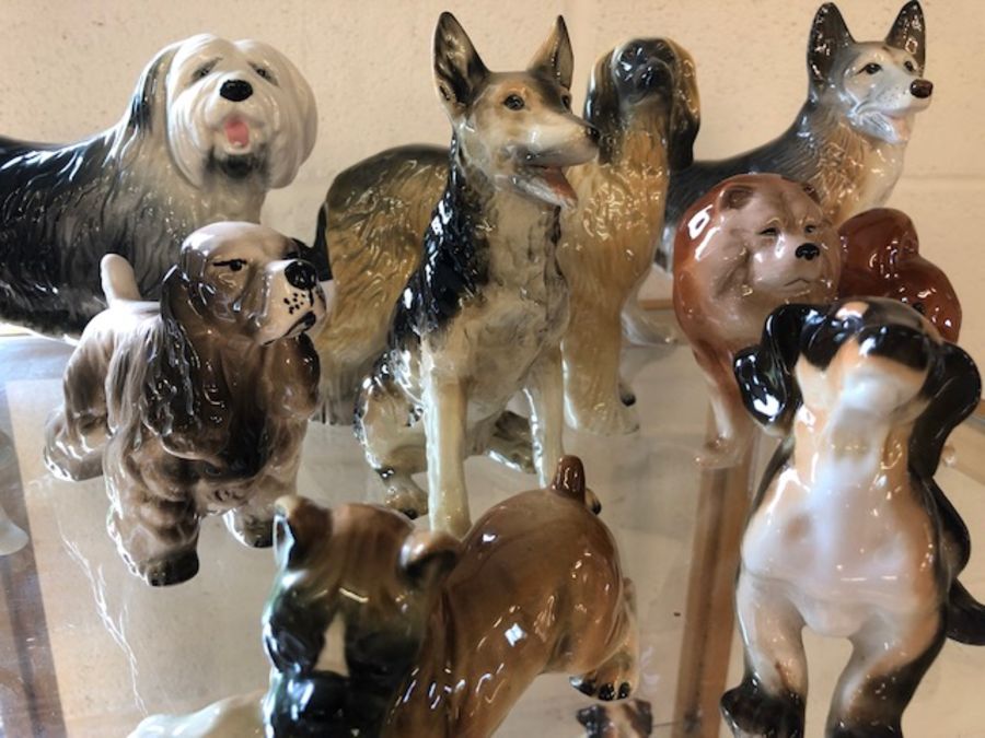 Very large collection of ceramic dogs and cats in varying sizes - Image 6 of 9