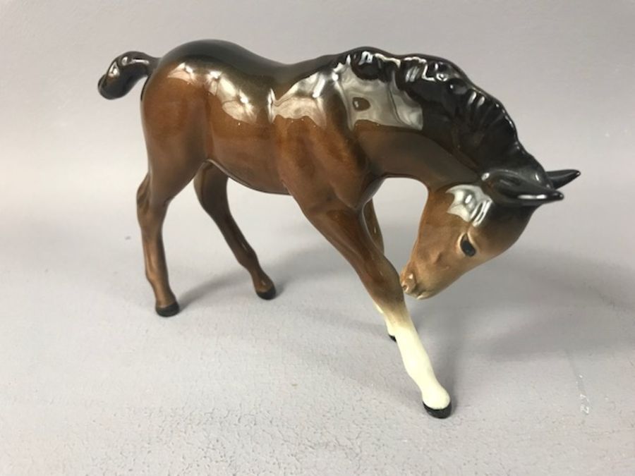 Collection of 11 Beswick horses of varying heights, to include New Forest Pony, rearing Welsh Cob, - Image 11 of 14