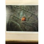 A Framed Limited Edition Steven Townsend Print, study of a Robin 394/400