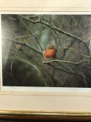 A Framed Limited Edition Steven Townsend Print, study of a Robin 394/400