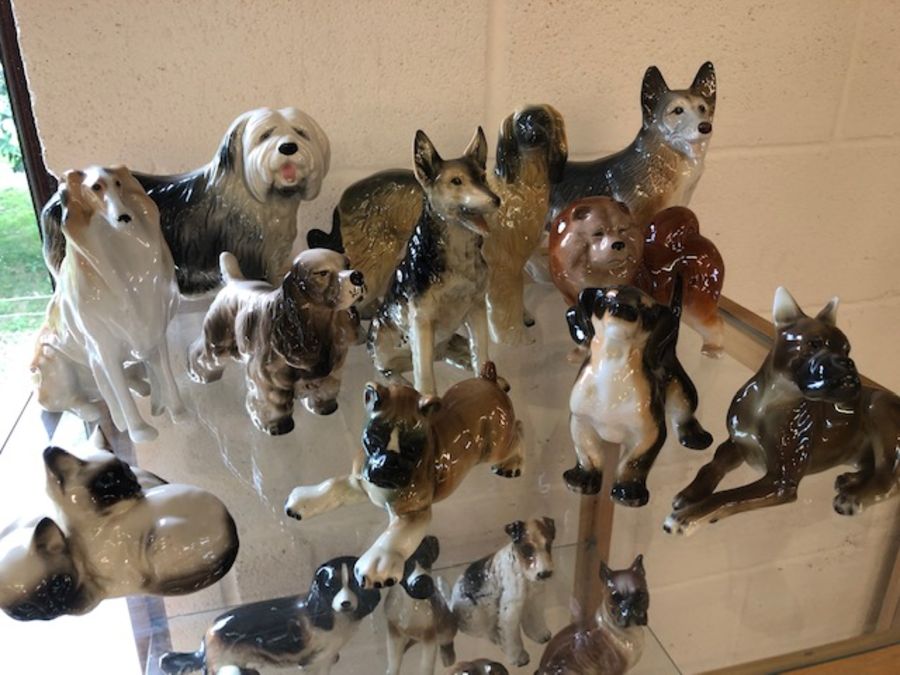 Very large collection of ceramic dogs and cats in varying sizes