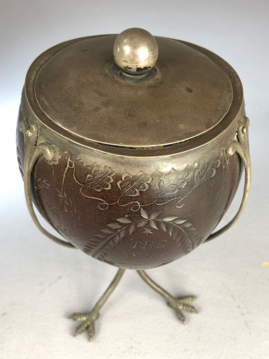 Scrimshaw Silver mounted coconut with silver Lining and lid on tripod Ostrich feet and dated 1815 - Image 2 of 13