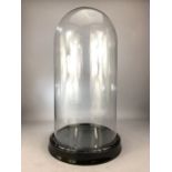 Large vintage glass display dome on black ceramic base, approx 54cm in height