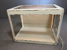 Painted Wooden display case with internal light