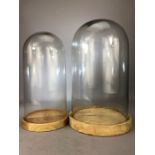 Two vintage glass display domes on wooden bases, the largest approx 36cm in height