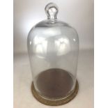 Vintage glass bell display dome on wooden base, approx 30cm in height