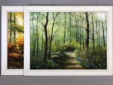 Two oil on board signed John Stone each of woodland scenes 78 x 59cm