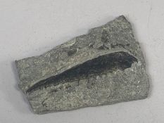 Fossil