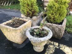 Four garden planters, two with firs