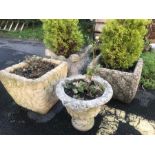 Four garden planters, two with firs