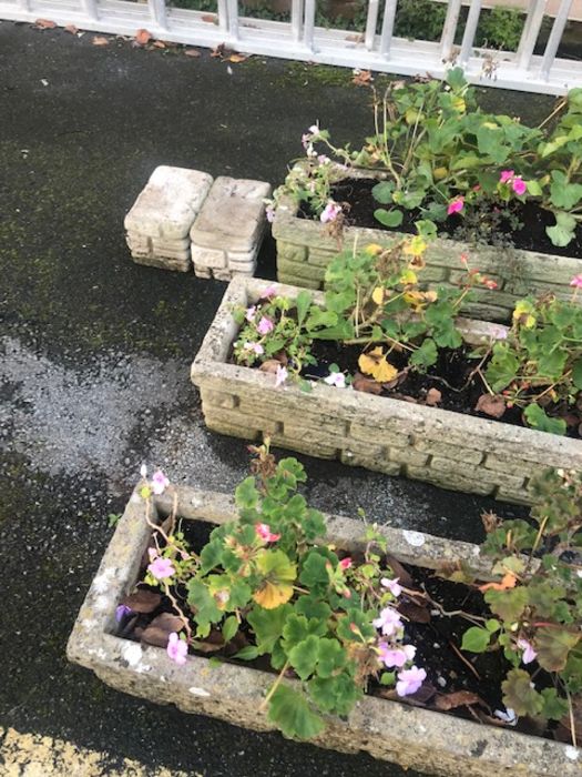 Three garden troughs / planters, each approx 75cm x 25cm - Image 2 of 3