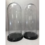 Pair of large glass display domes on black ceramic bases, approx 64cm in height