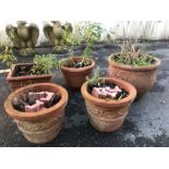 Collection of five terracotta garden planters