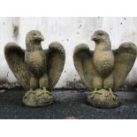 Pair of stone eagles, each with turned head, approx 57cm in height