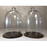 Pair of vintage glass bell display domes on wooden bases, approx 31cm in height