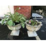 Pair of Acanthus leaf stone garden planters