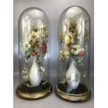 Pair of Victorian glass Parlour or display domes containing displays of dried flowers in vases, on