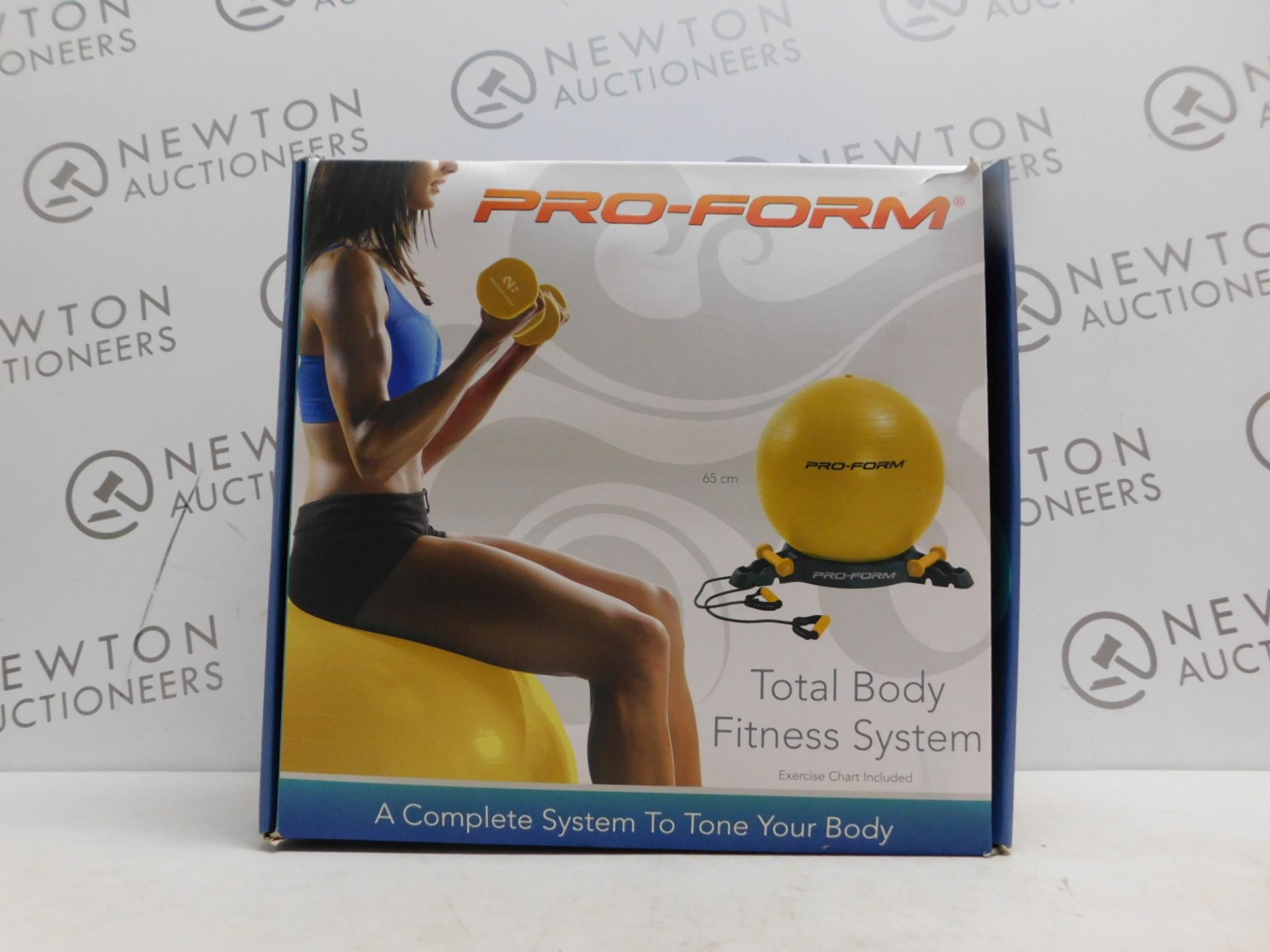 1 BOXED PRO-FORM TOTAL BODY FITNESS SYSTEM RRP Â£39