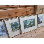 4 gilt framed coloured prints of woodside landscape scenes by the local artist Peter Robinson