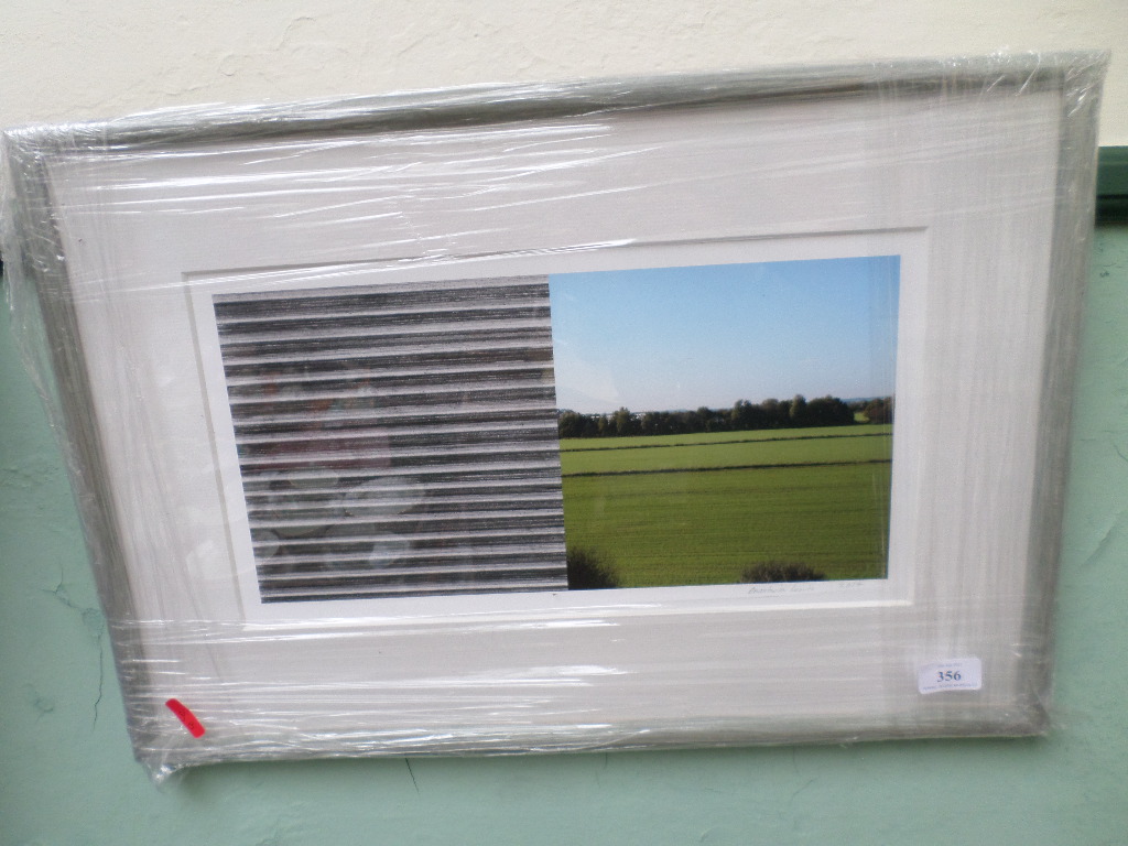 Modern framed picture 'Green Fields' signed Anastasia Lewis