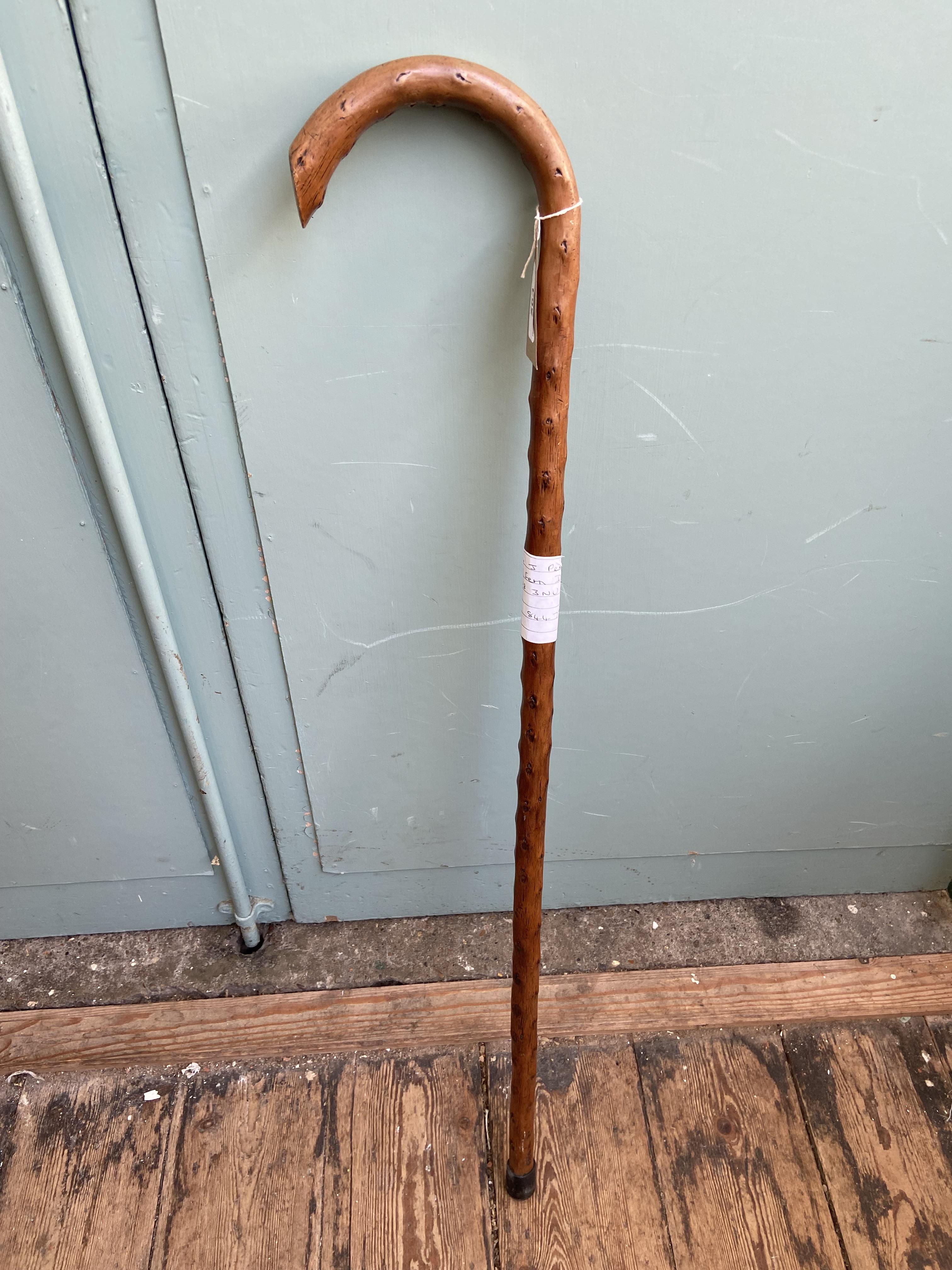 Knotted walking stick