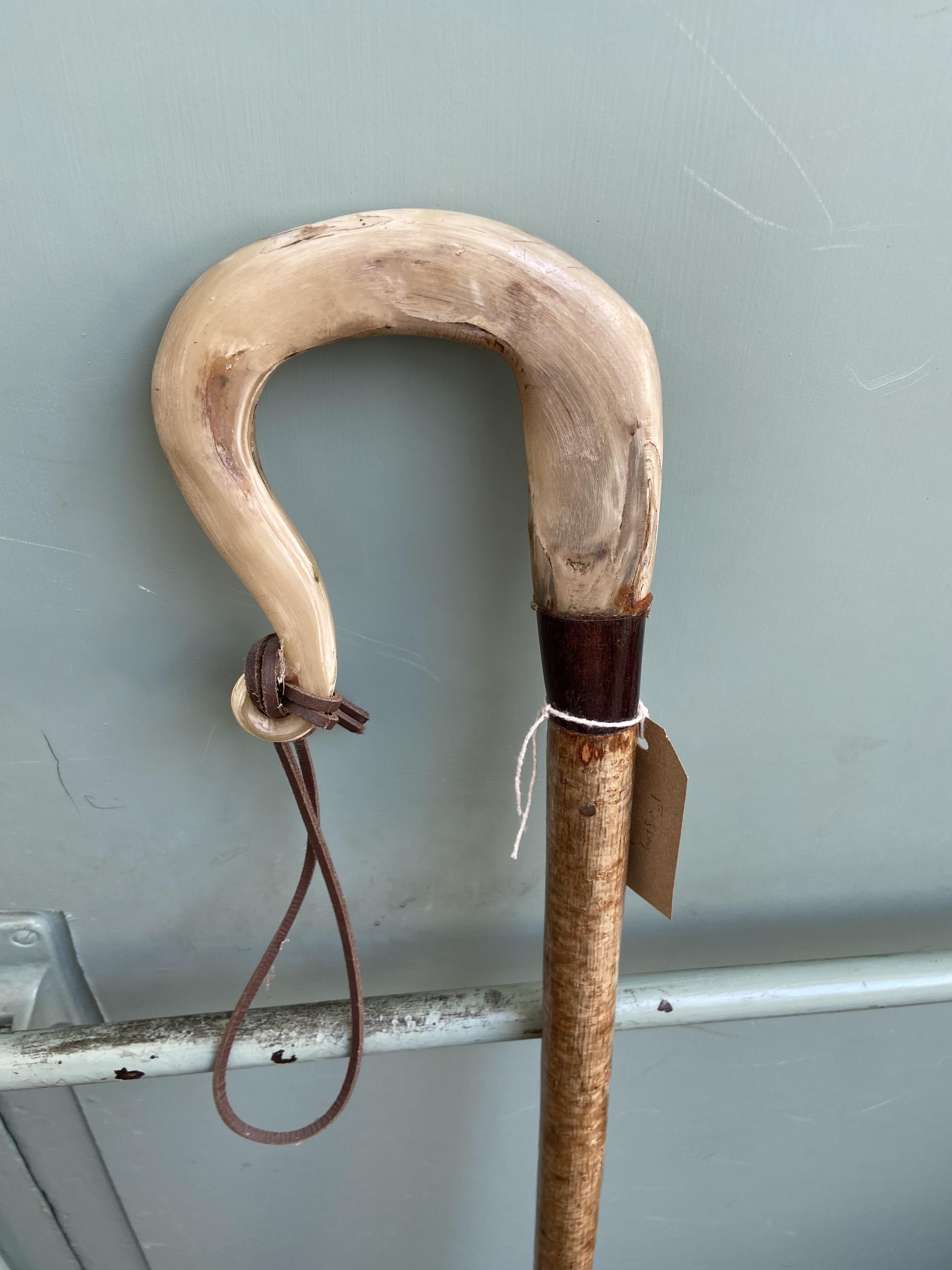 Shepherd's stick with shaped bone handle - Image 3 of 3