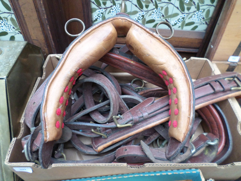 Box of light brown leather pony tack incl.