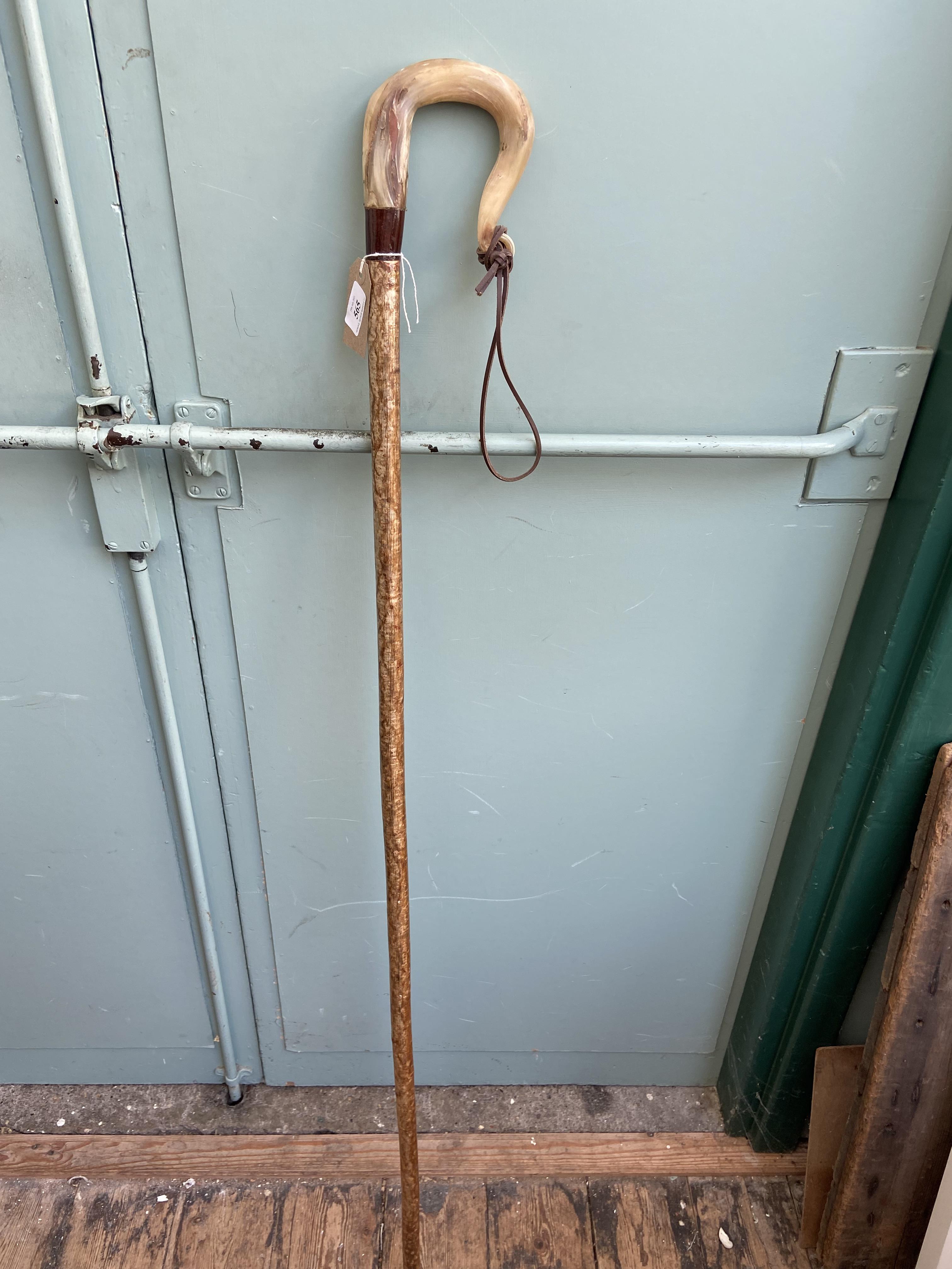 Shepherd's stick with shaped bone handle