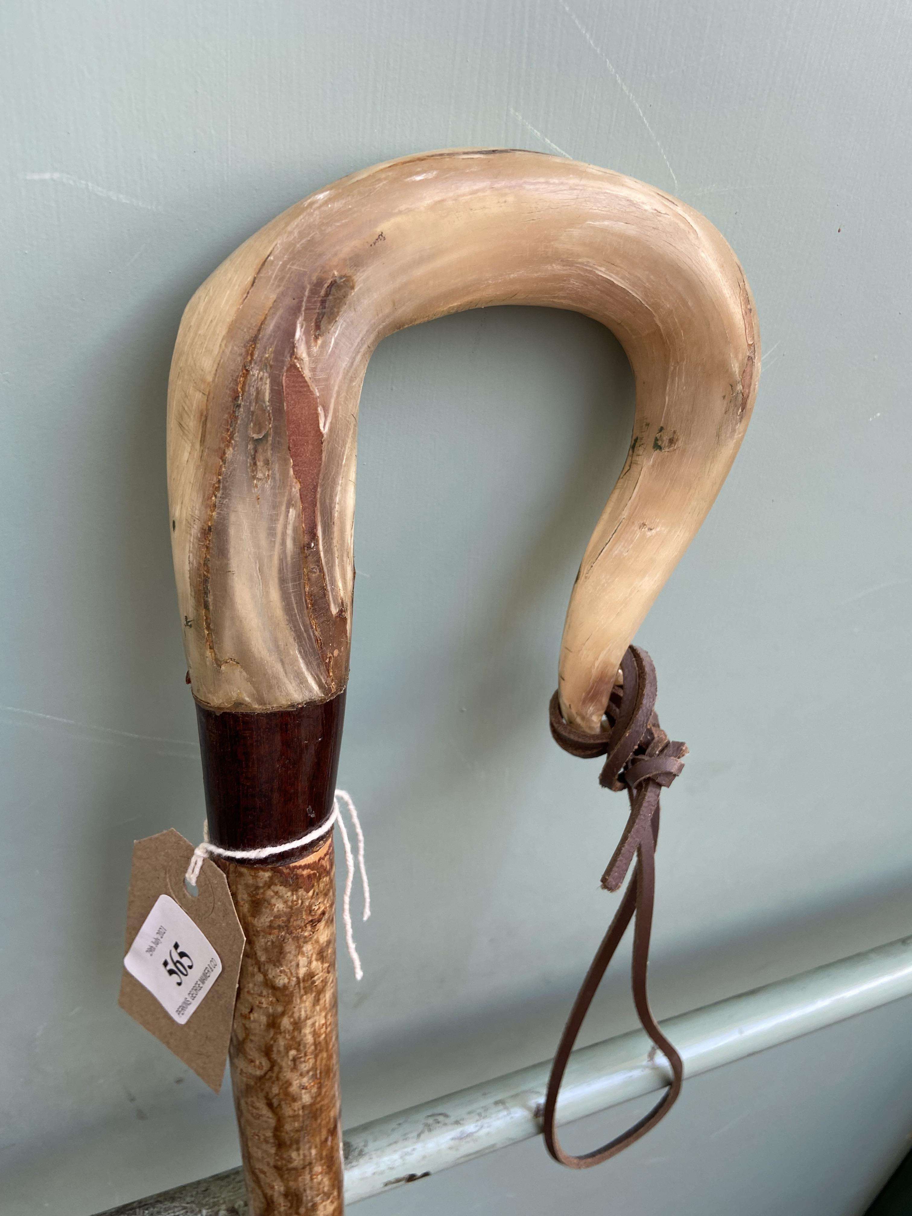 Shepherd's stick with shaped bone handle - Image 2 of 3