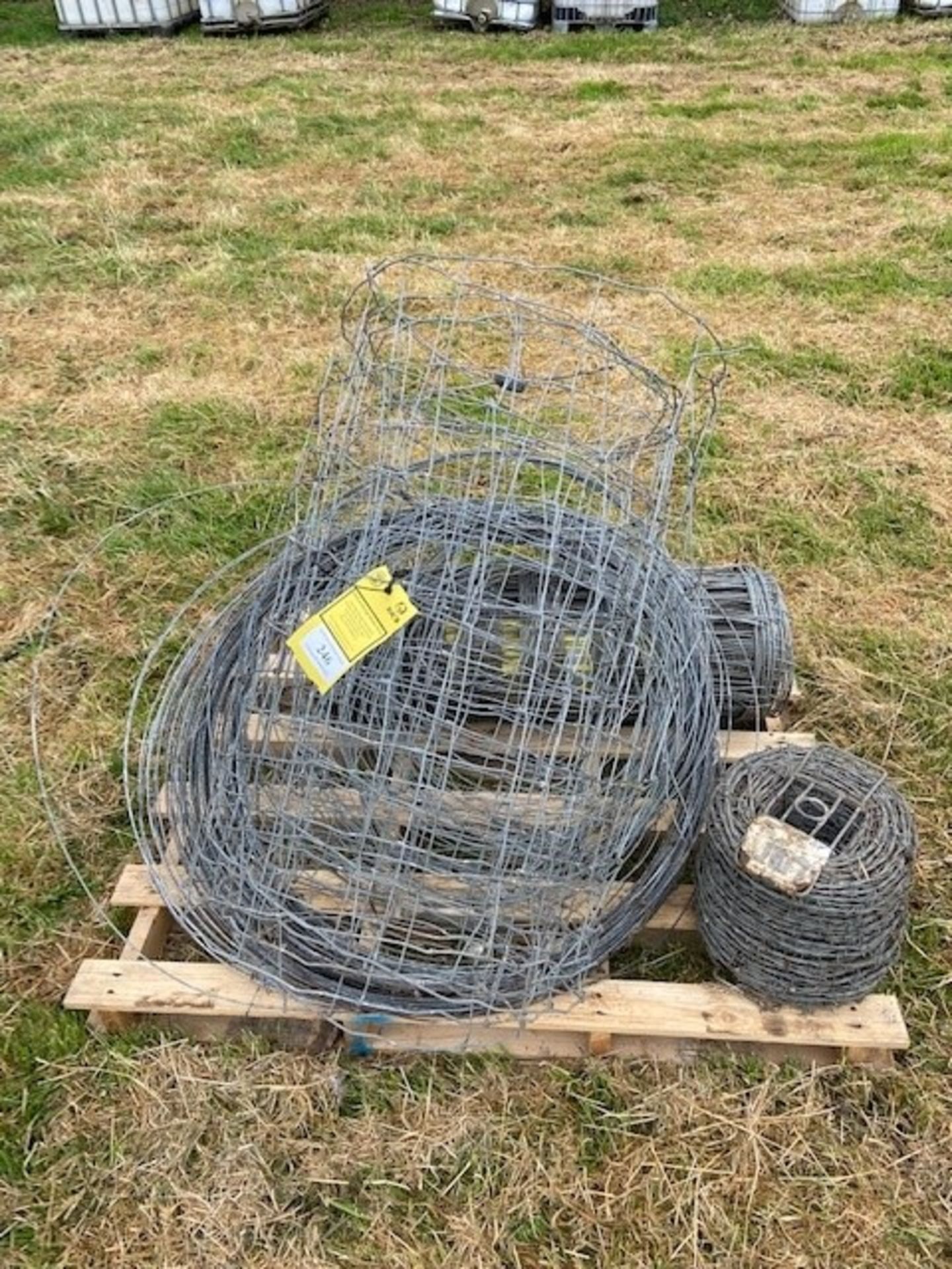 SHEEP NETTING/BARBED WIRE