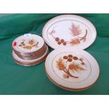 13 matching Denby ware plates, decorated autumnal sprays