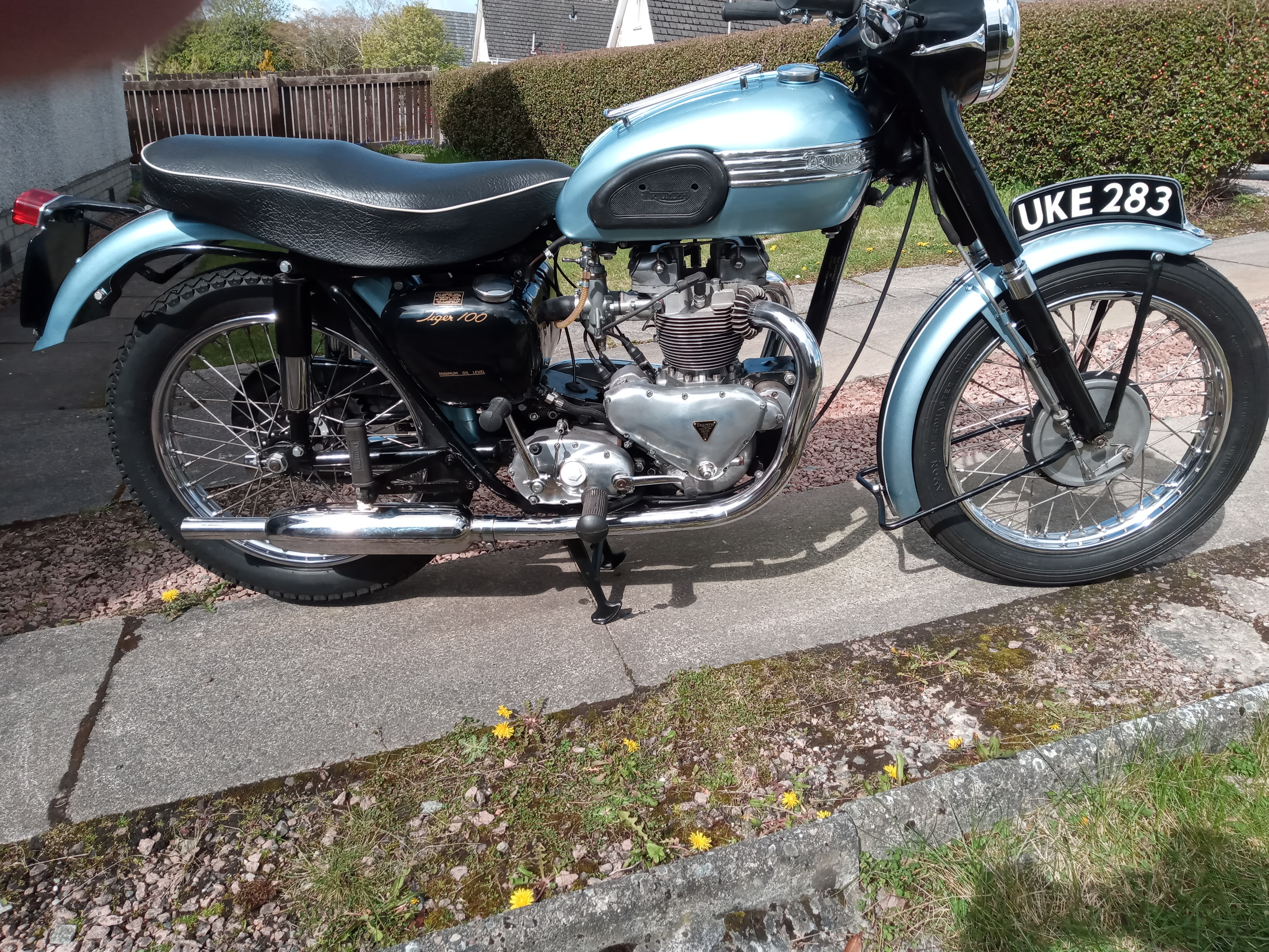 1955 Triumph Tiger T100 - Image 2 of 7