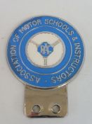 An RAC Association of Motor Schools & Instructors car badge.