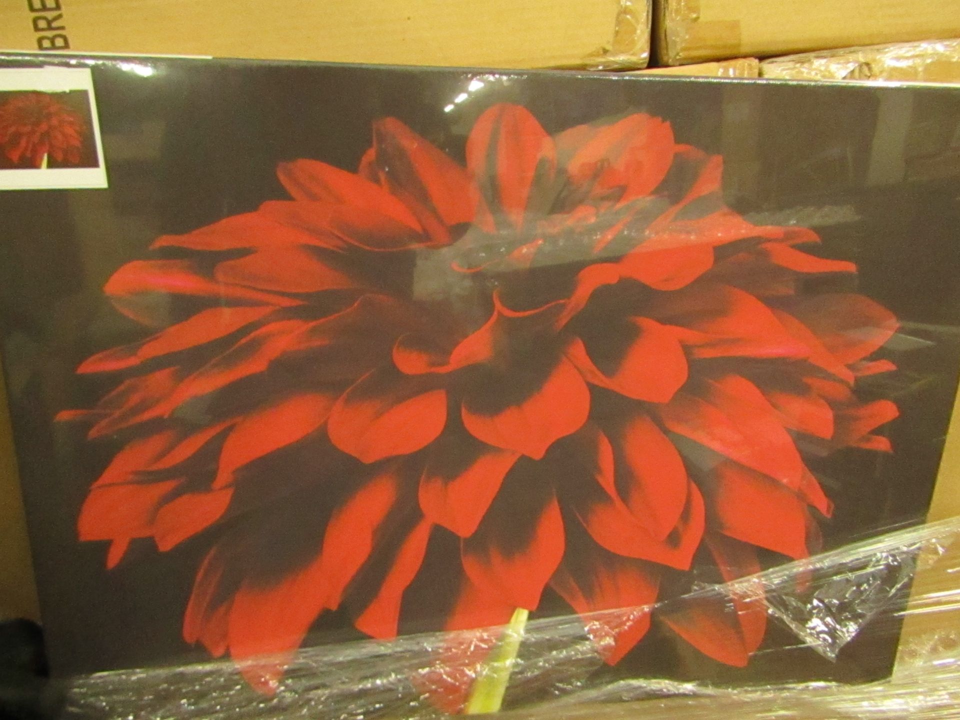 Red Dahlia Plant, Landscape Canvas (Length 70cmx Height 50cm) - New & Packaged