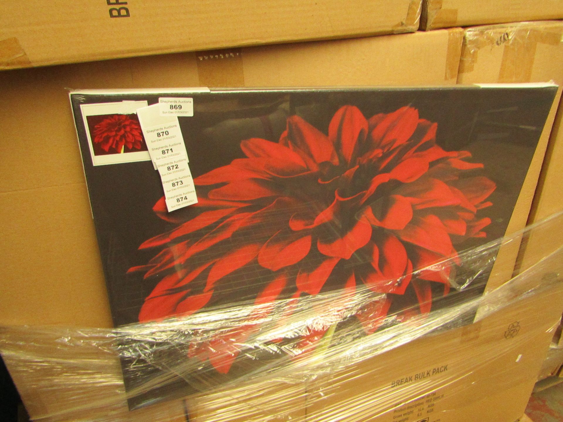 2x Red Dahlia Plant - Landscape Canvas (Length 70cmx Height 50cm) - New & Packaged.