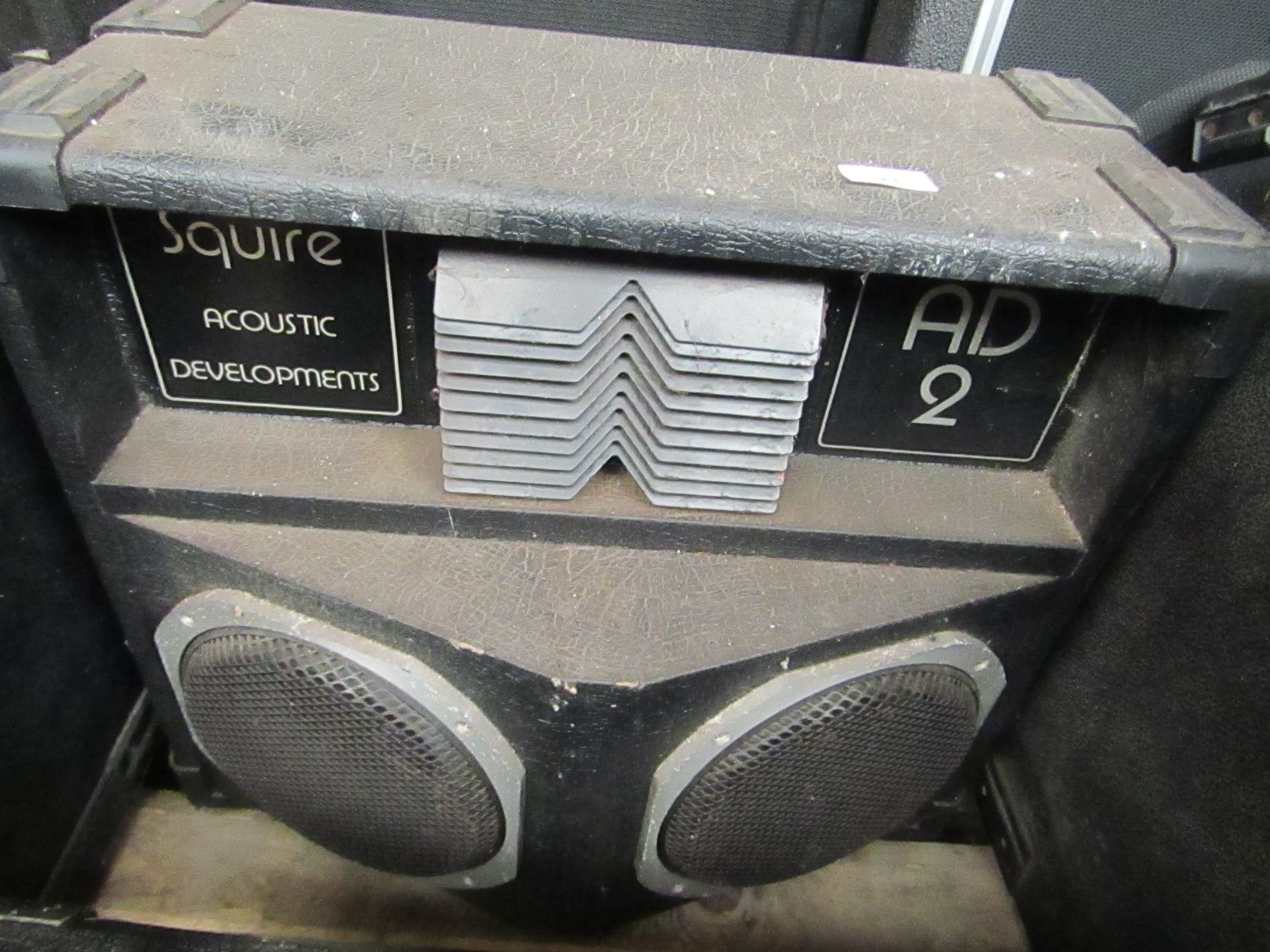 Squire Acoustic developments HD 2 Speaker, unchecked. please read lot 0 before bidding!!!!