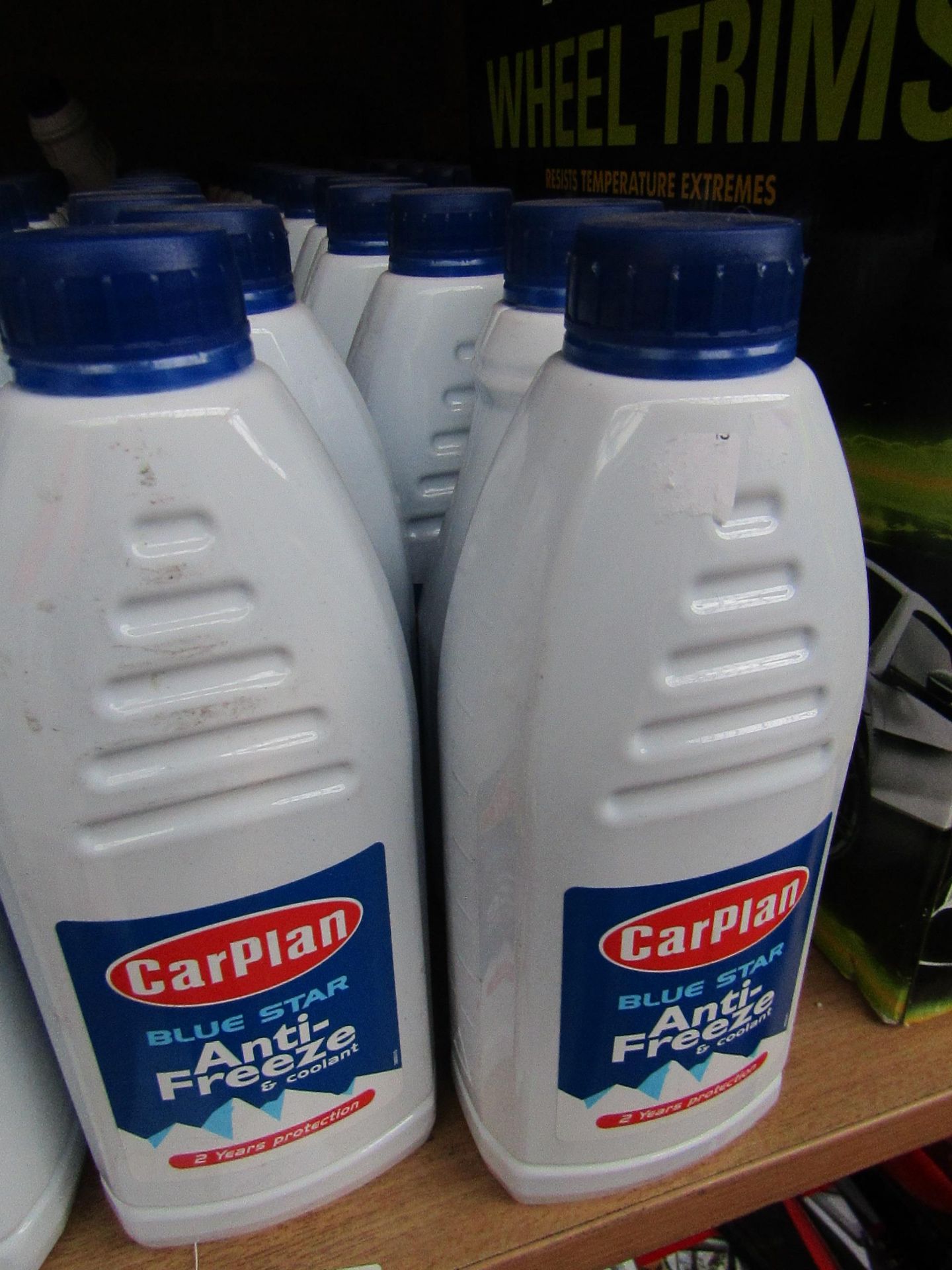 6x Carplan - Bluestar Anti-Freeze & Coolant - 1 Litre Bottles - RRP £2.49 each - Unused & Sealed.