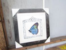 1x Butterfly Framed Print Art - Unchecked & Packaged.