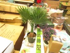 Artificial Plant - Palm Tree Style