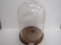Display bpard with glass cloche, look unused
