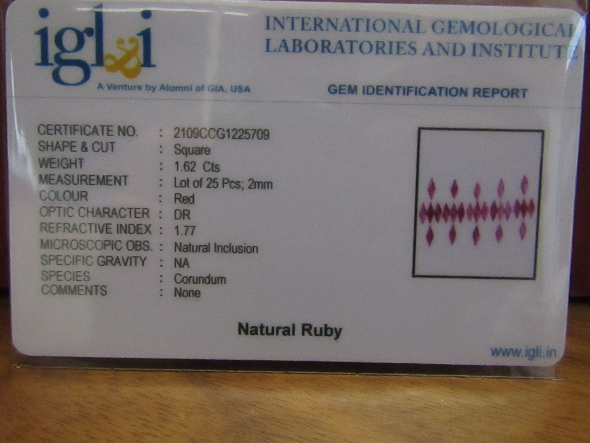 IGL&I Certified - Natural Rubies - (Untreated Unheated) 1.62 Carats - 25 Pieces - Square cut - - Image 2 of 3