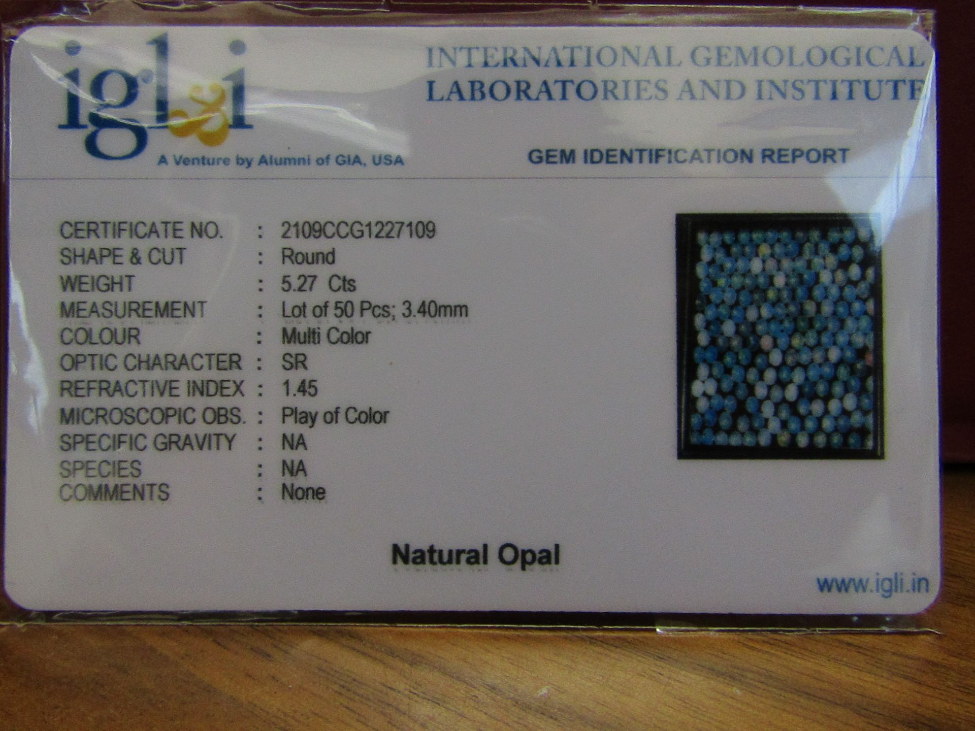 IGL&I Certified - Natural Ethiopian Opals - 50 Pieces - Round Cabochon shape. Average retail - Image 2 of 3